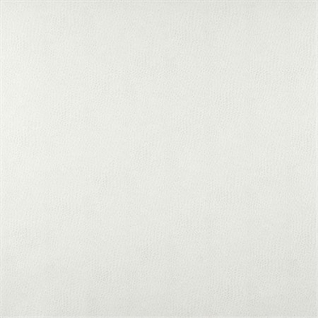 Designer Fabrics Designer Fabrics G876 54 in. Wide Pearl Smooth Emu Leatherette G876